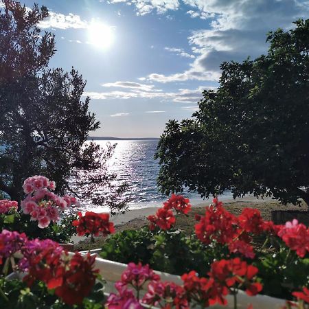Rooms Ante Tribanj-Kruscica Dış mekan fotoğraf