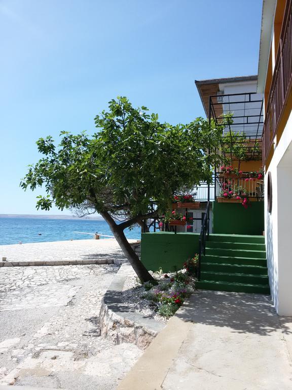 Rooms Ante Tribanj-Kruscica Dış mekan fotoğraf