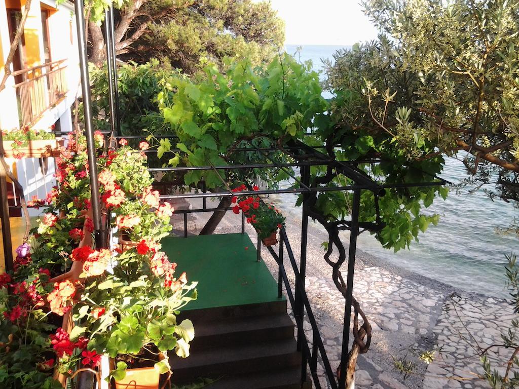 Rooms Ante Tribanj-Kruscica Dış mekan fotoğraf