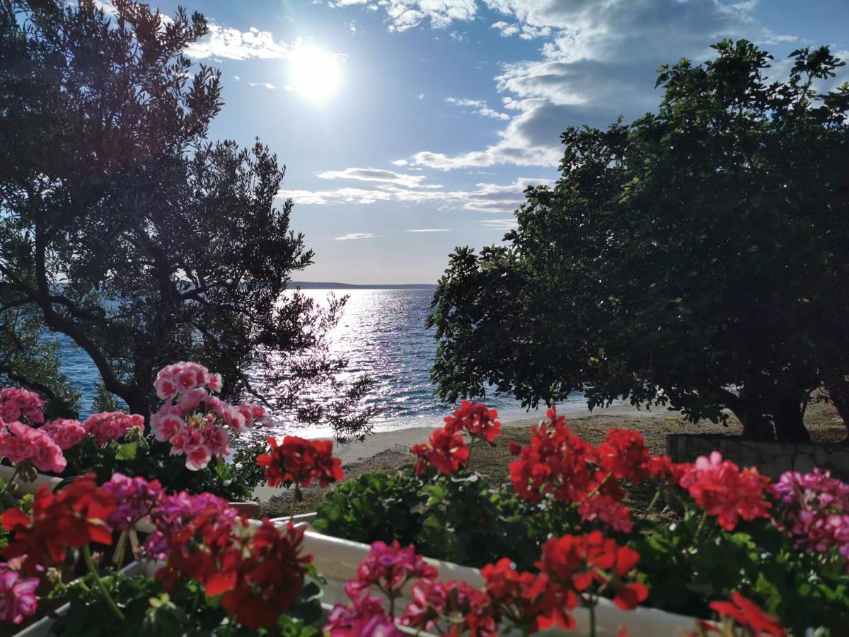 Rooms Ante Tribanj-Kruscica Dış mekan fotoğraf